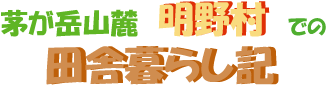 xR[@쑺ł̓cɕ炵L