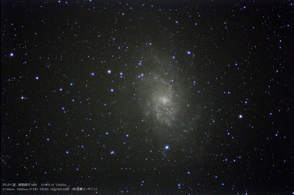 M33