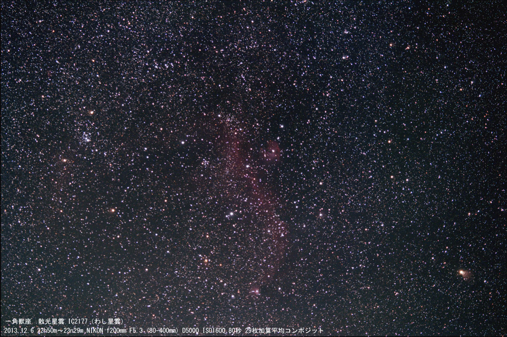 NGC2177