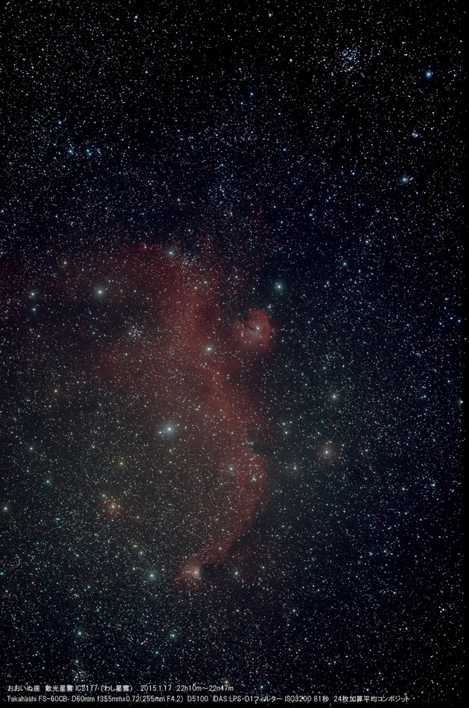 NGC2177